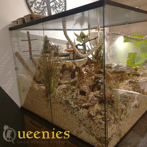 Toren zonder spijkers - Leuke Knaagdier Wentel trap 